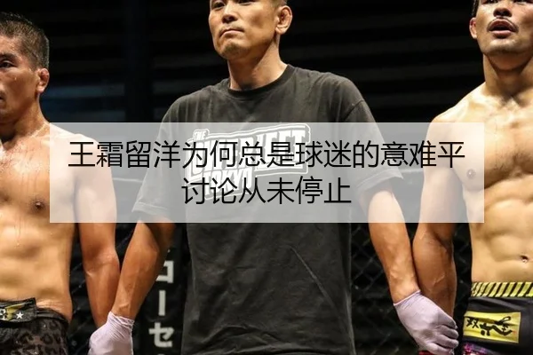 wang-shuang-liu-yang-wei-he-zong-shi-qiu-mi-de-yi-nan-ping-tao-lun-cong-wei-ting-zhi-2-857.jpg